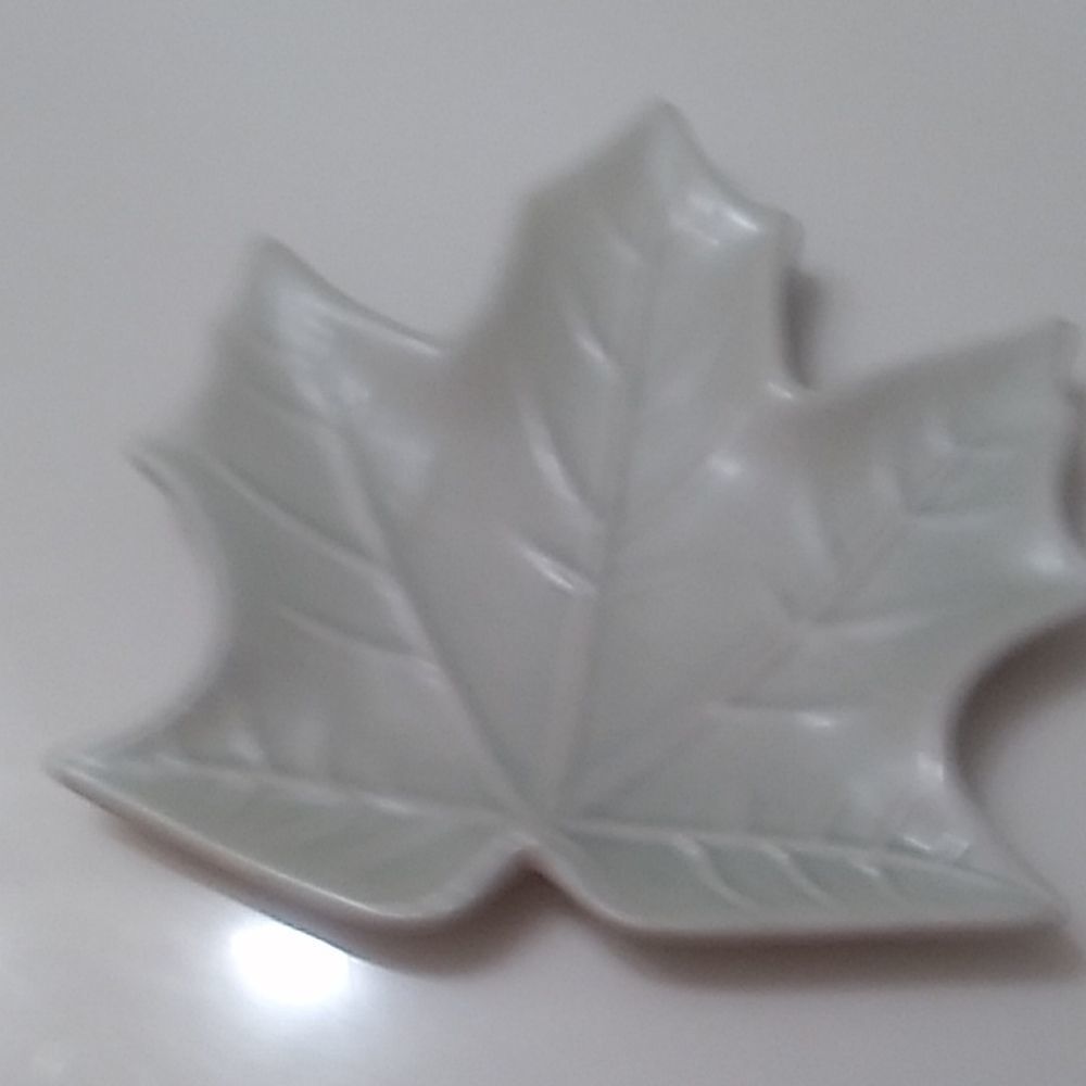 IQ Accessories Leaf Plate